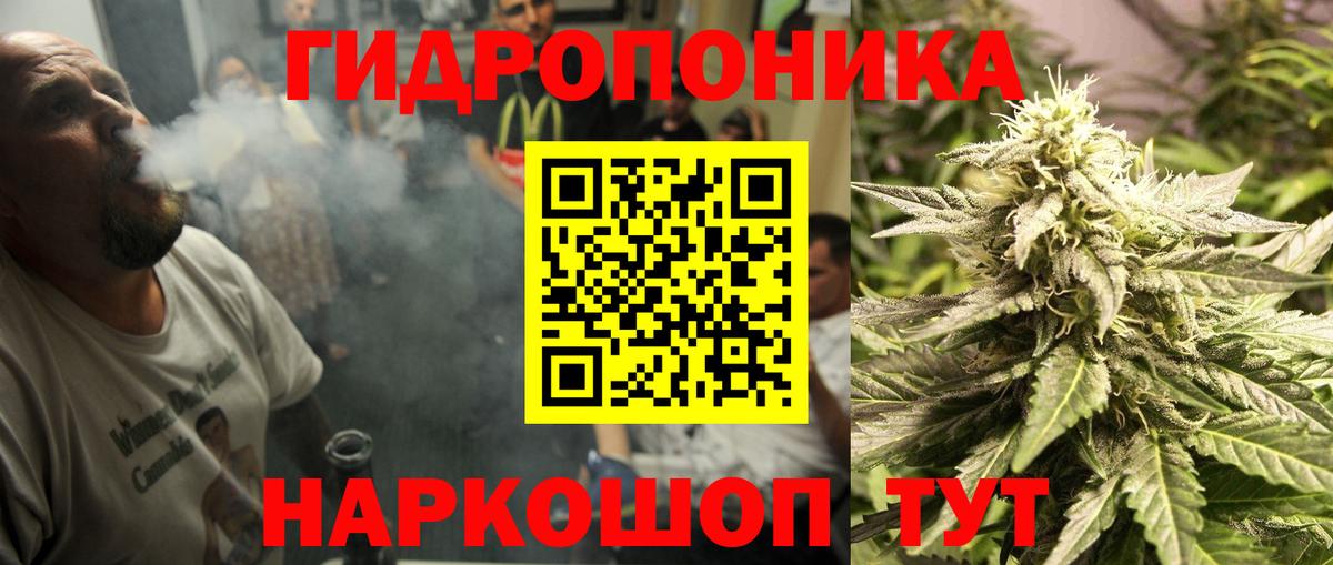 Канабис гибрид Салават